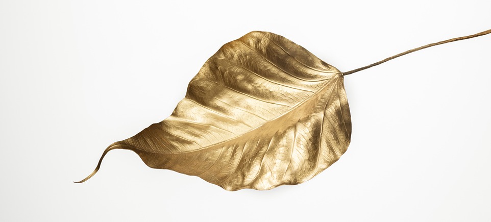 gold leaf pollogen medical aesthetic devices
